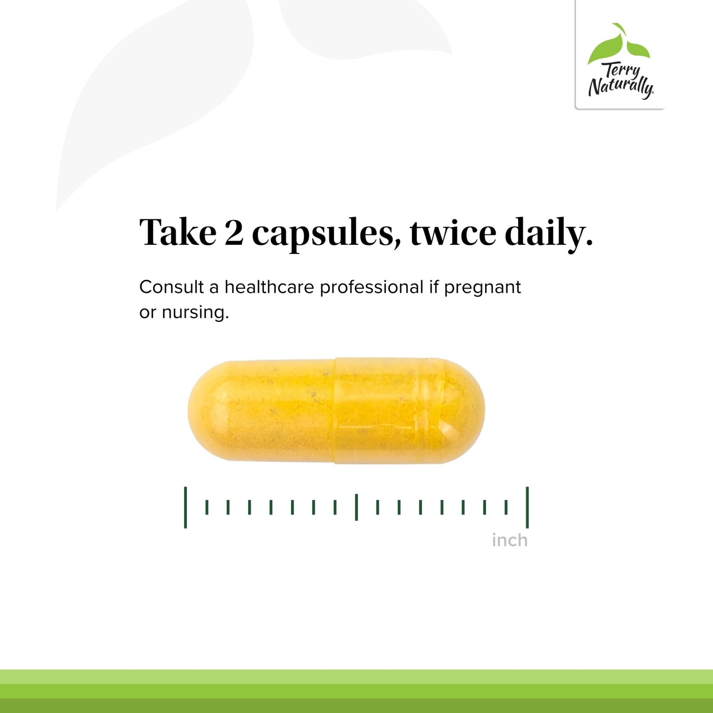 Terry Naturally Healthy Feet & Nerves - Herbal Supplement with Bioactive Vitamin B12 - Circulation & Nerve Health Support Supplement - Vegan Capsules with Boswellia Serrata - 60 Capsules - dailyvitalstore