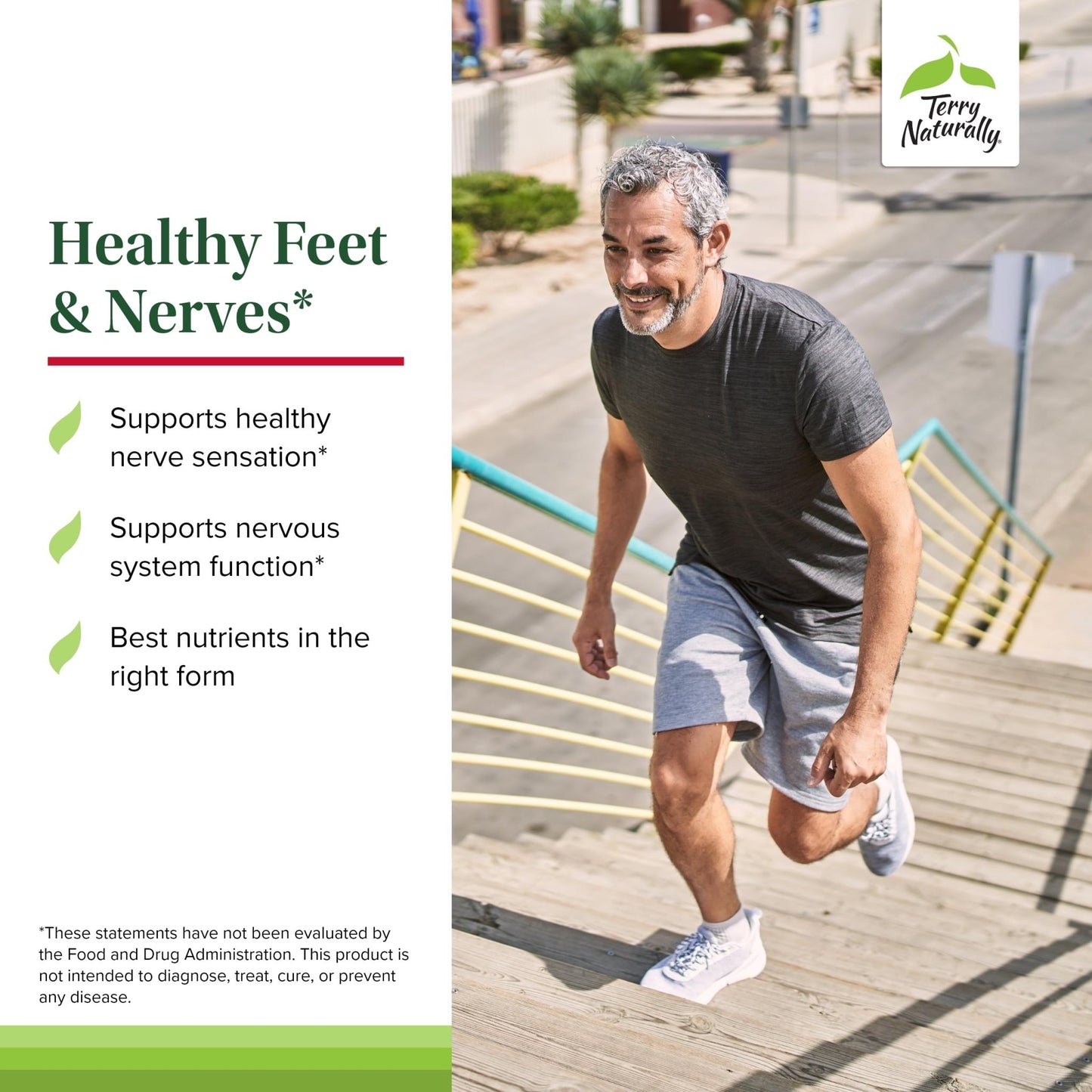 Terry Naturally Healthy Feet & Nerves - Herbal Supplement with Bioactive Vitamin B12 - Circulation & Nerve Health Support Supplement - Vegan Capsules with Boswellia Serrata - 60 Capsules - dailyvitalstore