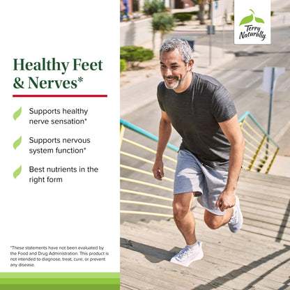 Terry Naturally Healthy Feet & Nerves - Herbal Supplement with Bioactive Vitamin B12 - Circulation & Nerve Health Support Supplement - Vegan Capsules with Boswellia Serrata - 60 Capsules - dailyvitalstore