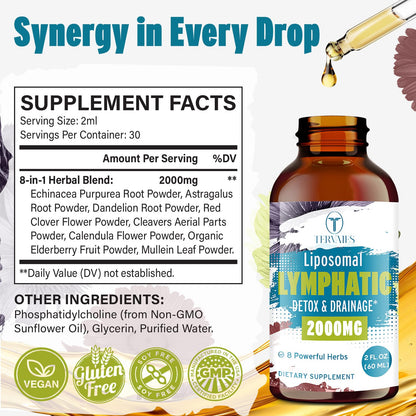 Tervaies Liposomal Lymphatic Drainage Drops 2000mg – Herbal Blend with Elderberry & Echinacea – 2 FL OZ - dailyvitalstore