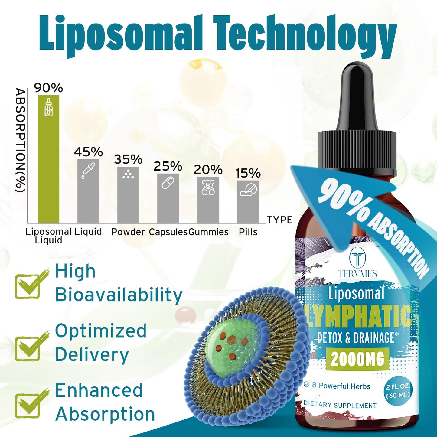 Tervaies Liposomal Lymphatic Drainage Drops 2000mg – Herbal Blend with Elderberry & Echinacea – 2 FL OZ - dailyvitalstore