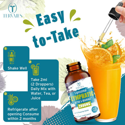 Tervaies Liposomal Lymphatic Drainage Drops 2000mg – Herbal Blend with Elderberry & Echinacea – 2 FL OZ - dailyvitalstore