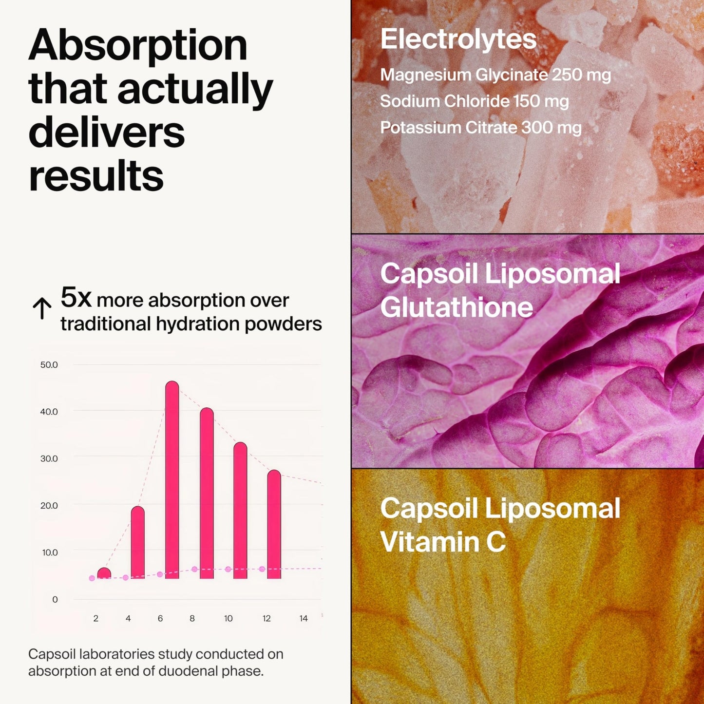 The Absorption Company Electrolyte Powder Packets - Workout Recovery & Hydration Drink Mix with Liposomal Glutathione, Vitamin C & Methylated B Vitamins - dailyvitalstore