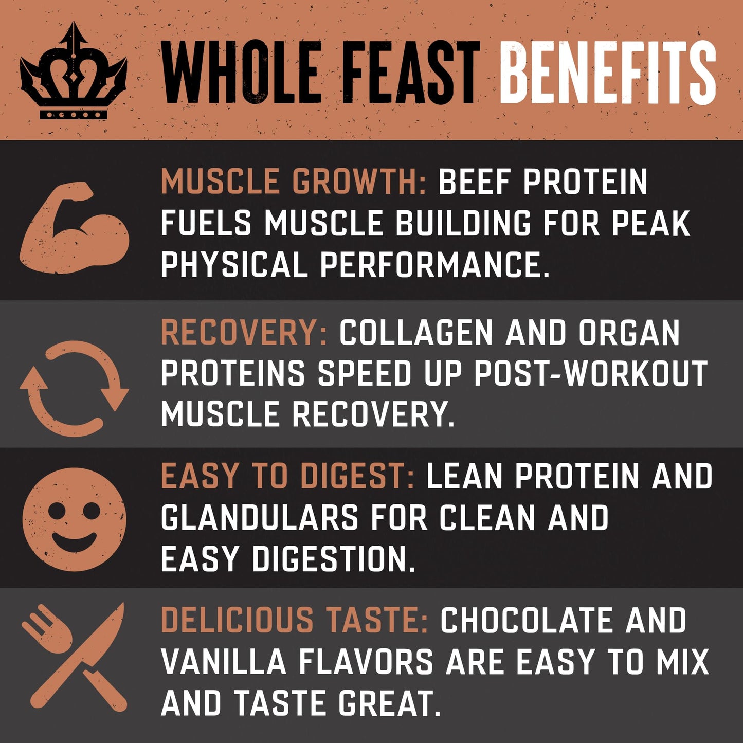 The Fittest Whole Feast Beef Protein Powder - Milk Chocolate - Grass Fed Nose to Tail Carnivore Blend Including Liver, Colostrum and Whole Bone - BCAAs - 14g Collagen, 21g Total Protein - dailyvitalstore