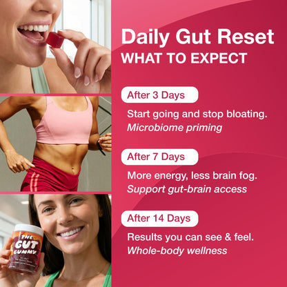 The Gut Gummy, 360° Daily Gut Reset, Full-Spectrum Tribiotic for Women & Men, Prebiotics Probiotics Postbiotics for Bloating, Belly Fat, Skin & Immune Support, Sugar Free Tart Cherry Gummies, 60 Count - dailyvitalstore