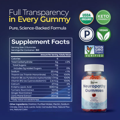 The Nerve Brand Neuropathy Support Gummies, 600 mg R Alpha Lipoic Acid Gummies with B1 B6 B12 and Lion’s Mane, Sugar Free Daily Nerve Health Supplement, 30 Day Supply - dailyvitalstore
