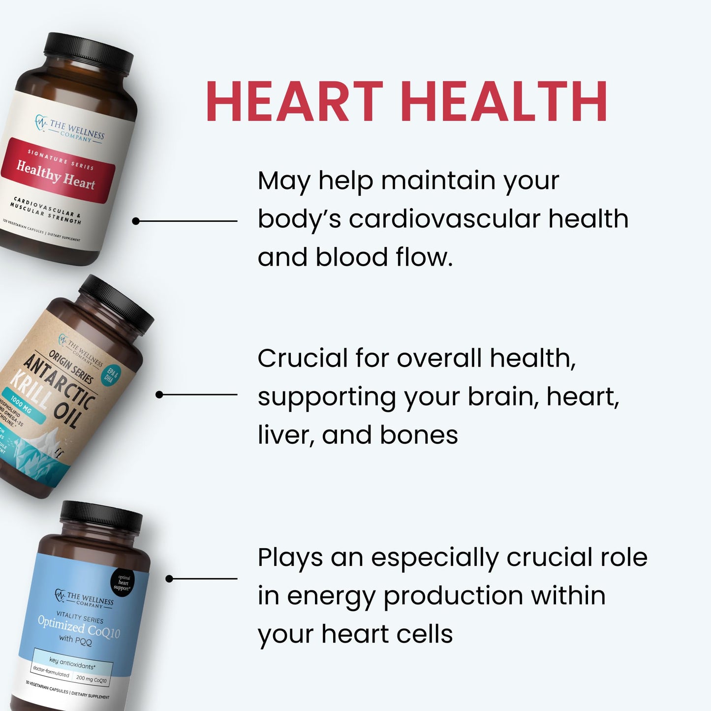 The Wellness Company Healthy Heart - Cardiovascular Strength, Blood Flow, Nitric Oxide Production & Healthy Cholesterol Levels | 120ct (2 Month Supply) - dailyvitalstore
