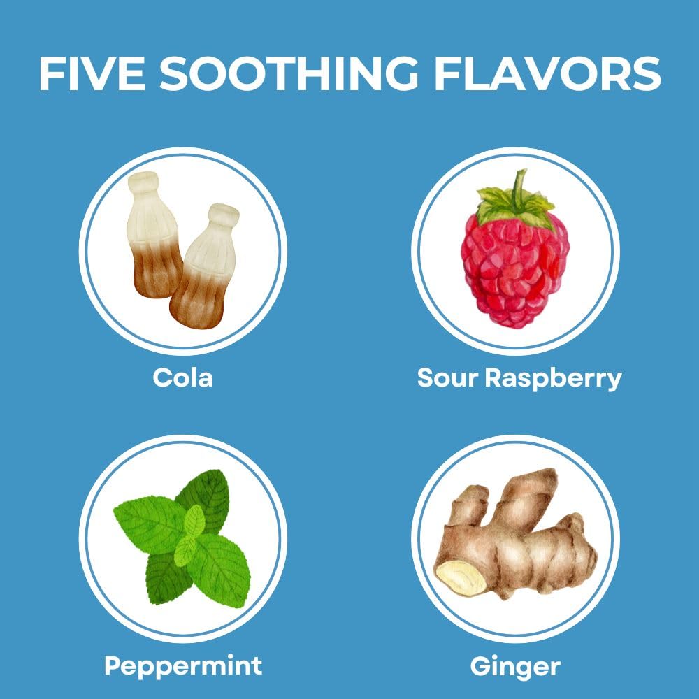 Three Lollies Queasy Drops- Supports Motion Sickness Relief. Also Pregnancy & Morning Sickness Relief. Stomach Settle Drops Assorted 48 Count - dailyvitalstore