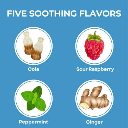 Three Lollies Queasy Drops- Supports Motion Sickness Relief. Also Pregnancy & Morning Sickness Relief. Stomach Settle Drops Assorted 48 Count - dailyvitalstore