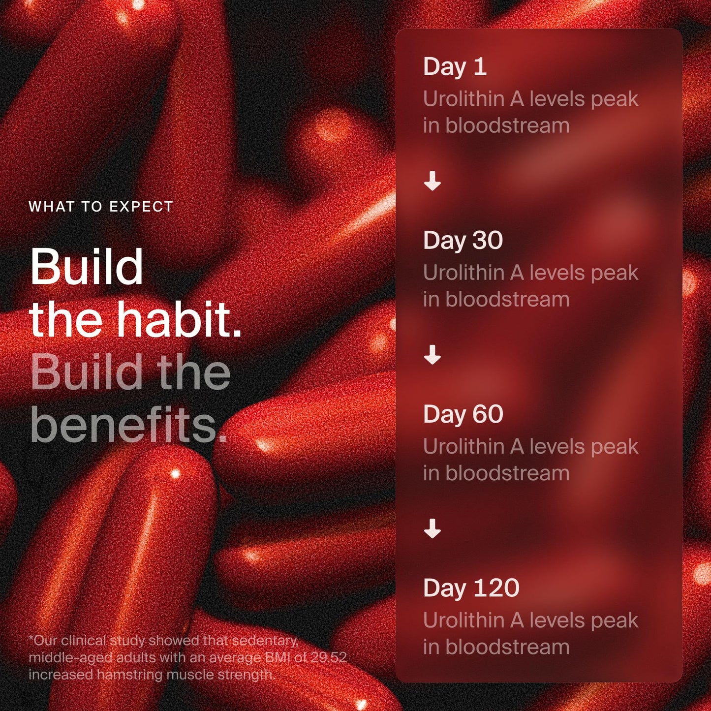 Timeline Mitopure Urolithin A Supplement Softgels - Clinically Proven Support for Healthy Aging and Cellular Renewal - dailyvitalstore