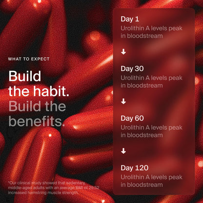 Timeline Mitopure Urolithin A Supplement Softgels - Clinically Proven Support for Healthy Aging and Cellular Renewal - dailyvitalstore