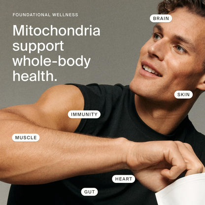 Timeline Mitopure Urolithin A Supplement Softgels - Clinically Proven Support for Healthy Aging and Cellular Renewal - dailyvitalstore