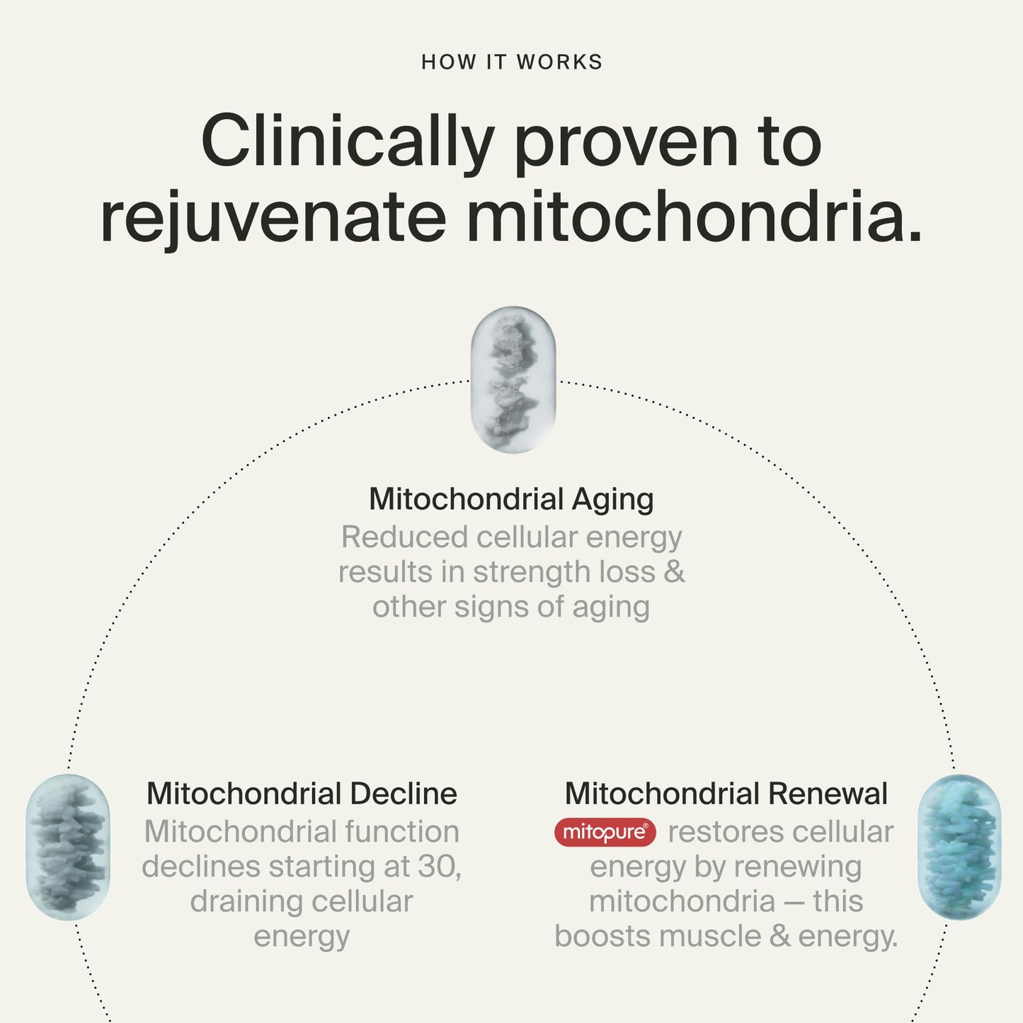 Timeline Mitopure Urolithin A Supplement Softgels - Clinically Proven Support for Healthy Aging and Cellular Renewal - dailyvitalstore