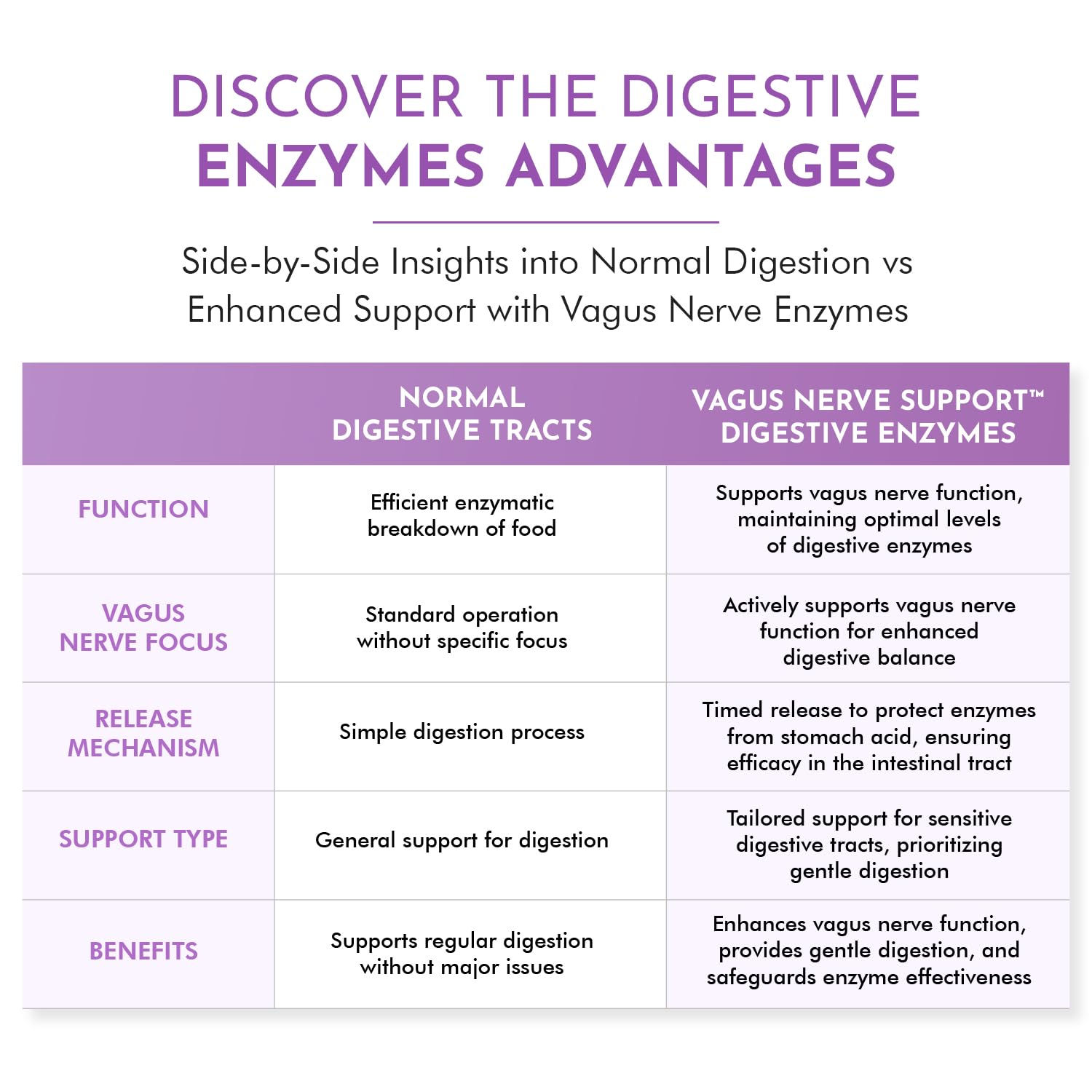 TJ Nutrition Digestive Enzymes for Sensitive Stomachs - Supports Vagus Nerve, Vegetarian Pancreatic Support, Timed Release Formula for Optimal Gut Health, Enhances Food Digestion & Gut Flora - dailyvitalstore