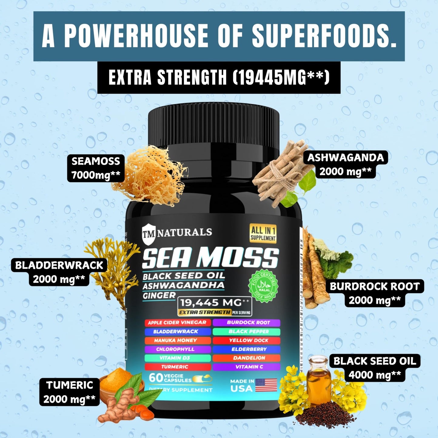 TM NATURALS Sea Moss with Black Seed Oil, Vitamin C, Ashwagandha and Turmeric for Immune Support & Energy - 60 Vegan Capsules + Free Pill Box - dailyvitalstore