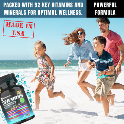 TM NATURALS Sea Moss with Black Seed Oil, Vitamin C, Ashwagandha and Turmeric for Immune Support & Energy - 60 Vegan Capsules + Free Pill Box - dailyvitalstore