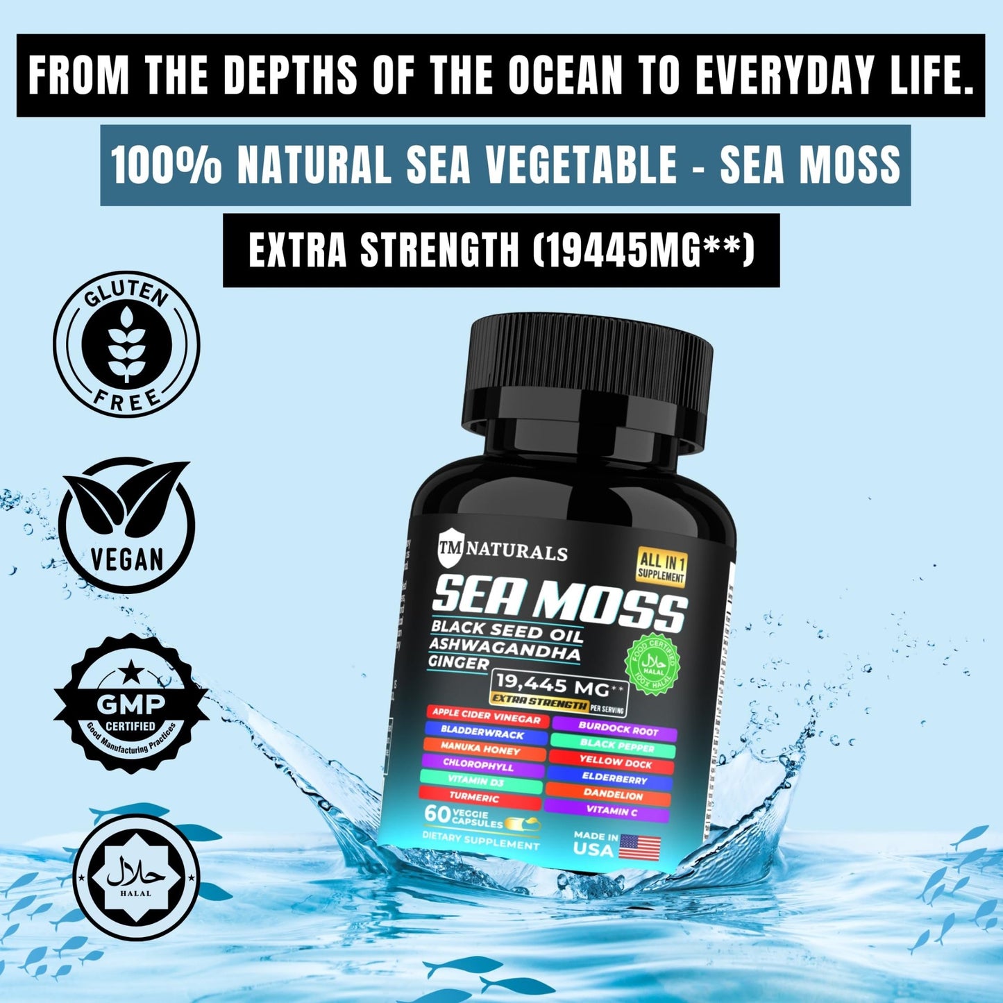 TM NATURALS Sea Moss with Black Seed Oil, Vitamin C, Ashwagandha and Turmeric for Immune Support & Energy - 60 Vegan Capsules + Free Pill Box - dailyvitalstore