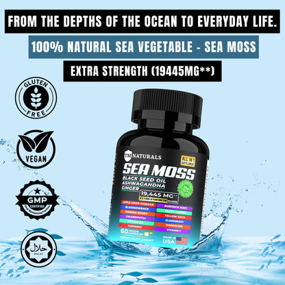 TM NATURALS Sea Moss with Black Seed Oil, Vitamin C, Ashwagandha and Turmeric for Immune Support & Energy - 60 Vegan Capsules + Free Pill Box - dailyvitalstore