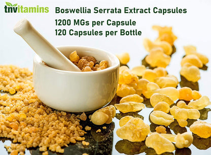 tnvitamins Boswellia Extract Capsules, 120 Count | 1,200 mg Per Capsule | 65% Boswellic Acids + 10:1 Concentrated Extract | Boswellia Serrata - dailyvitalstore