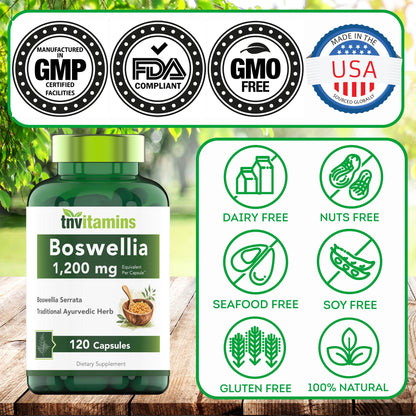 tnvitamins Boswellia Extract Capsules, 120 Count | 1,200 mg Per Capsule | 65% Boswellic Acids + 10:1 Concentrated Extract | Boswellia Serrata - dailyvitalstore