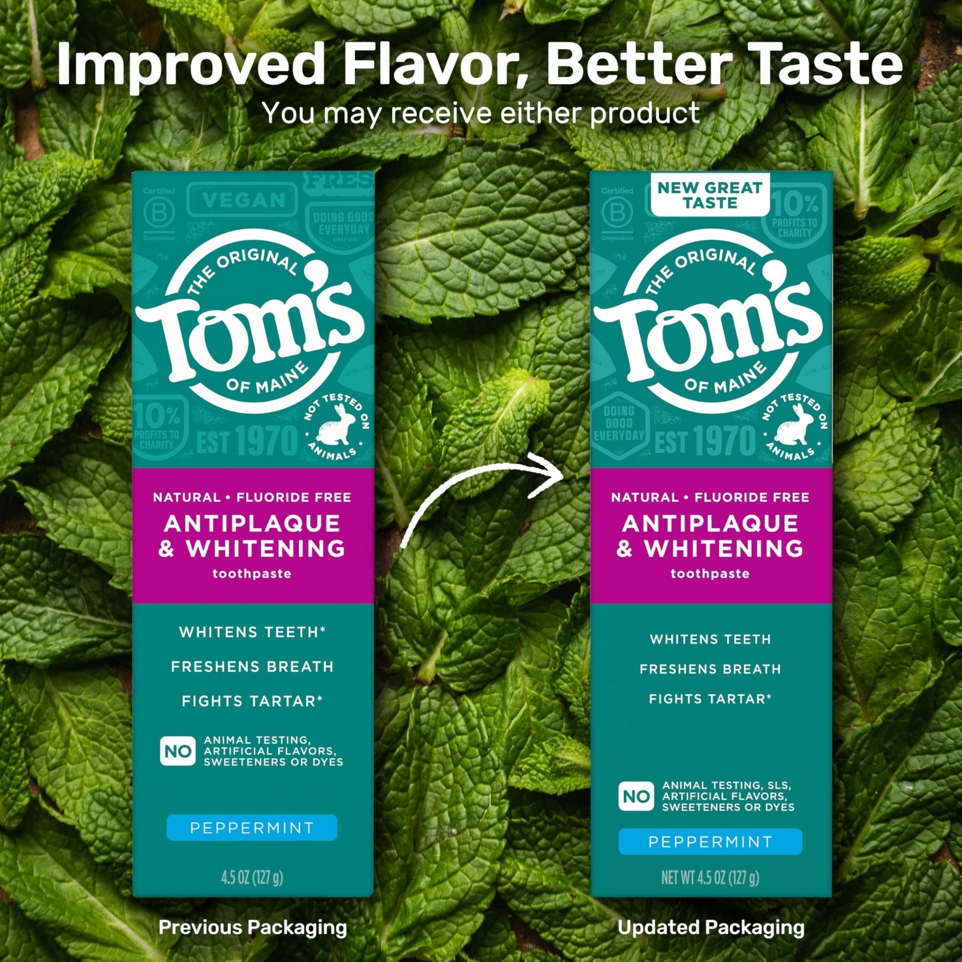 Tom's of Maine Fluoride-Free Antiplaque & Whitening Natural Toothpaste, Peppermint, 5.5 oz. (Pack of 2) - dailyvitalstore