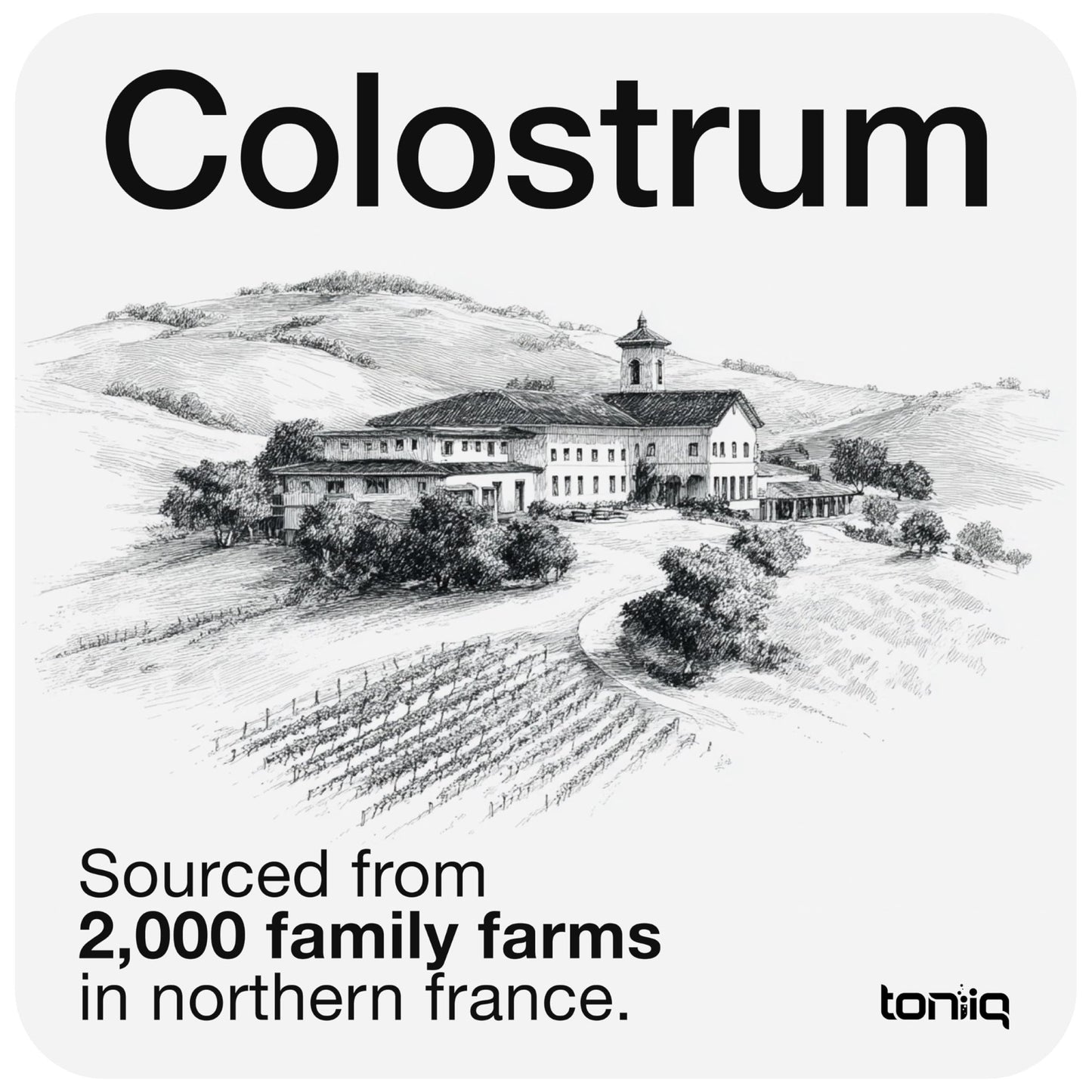 Toniiq Bovine Colostrum Powder Supplement 2000mg - 50% IgG for Gut Health, Immune Support & Skin - French Colostrum Farm-to-Jar Traceable - dailyvitalstore