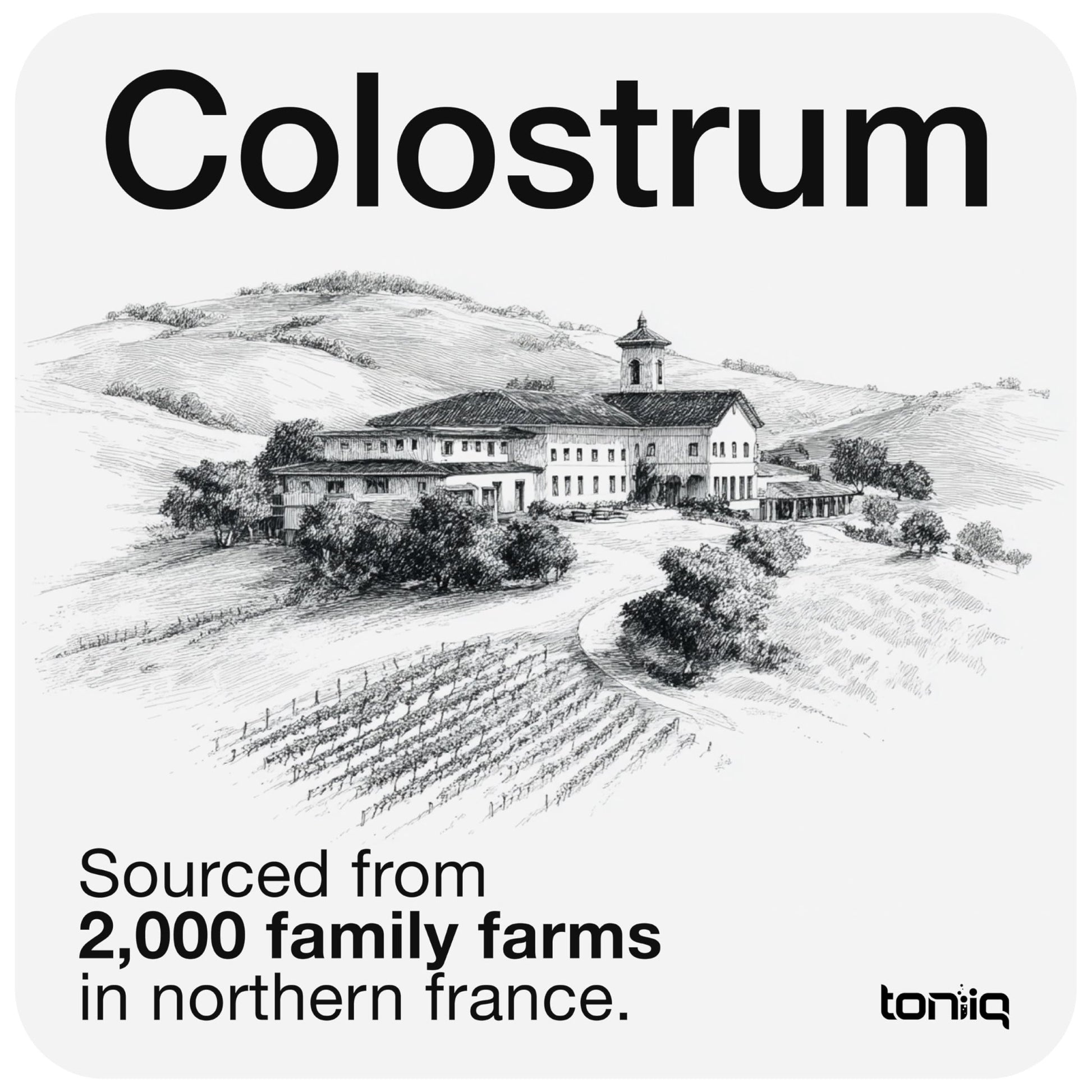 Toniiq Bovine Colostrum Powder Supplement 2000mg - 50% IgG for Gut Health, Immune Support & Skin - French Colostrum Farm-to-Jar Traceable - dailyvitalstore