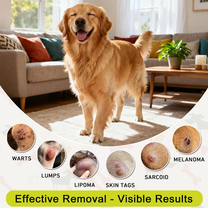 Topical 99.995% DMSO for Dogs Lipoma, Lipoma Treatment for Dogs, Reduce Fatty Lumps and Bumps Inflammation, Swelling, Dog Pain Relief, DMSO in Glass Bottle with Precision Dropper, 1.7 oz - dailyvitalstore