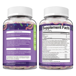 Totaria 2 PCS Sugar Free 5-in-1 Probiotic Prebiotic Postbiotic Gummy, 36 Strains Probiotics for Women Men with Digestive Enzymes, Peppermint, Complete Immune, Gut & Digestive Support, Grape Flavor - dailyvitalstore