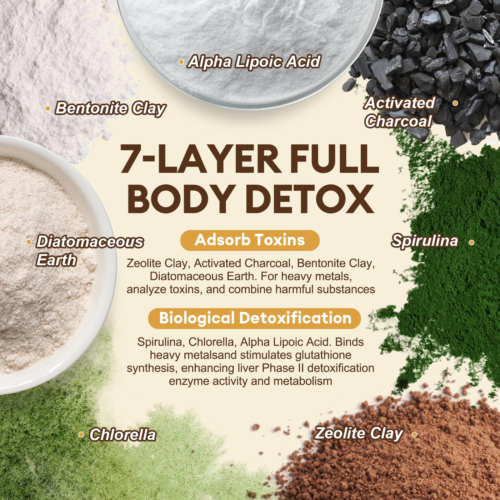 Totaria 2000MG All-in-1 Detox Binder, Activated Charcoal, Zeolite, Bentonite Clay, Alpha Lipoic Acid, 7-Layer Detox & Cleanse Supplement - dailyvitalstore