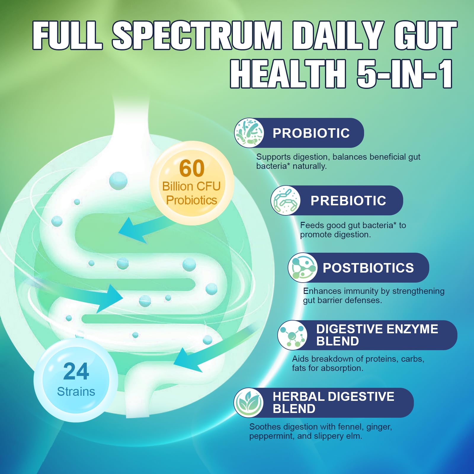 Totaria 5-in-1 60 Billion CFU Probiotic Prebiotic & Postbiotic for Women & Men, w/Digestive Enzymes, Slippery Elm, Daily Complete Gut Health, - dailyvitalstore