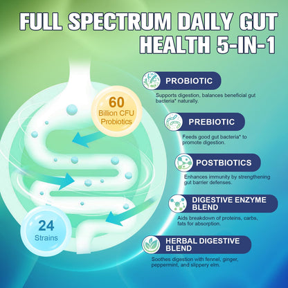 Totaria 5-in-1 60 Billion CFU Probiotic Prebiotic & Postbiotic for Women & Men, w/Digestive Enzymes, Slippery Elm, Daily Complete Gut Health, - dailyvitalstore
