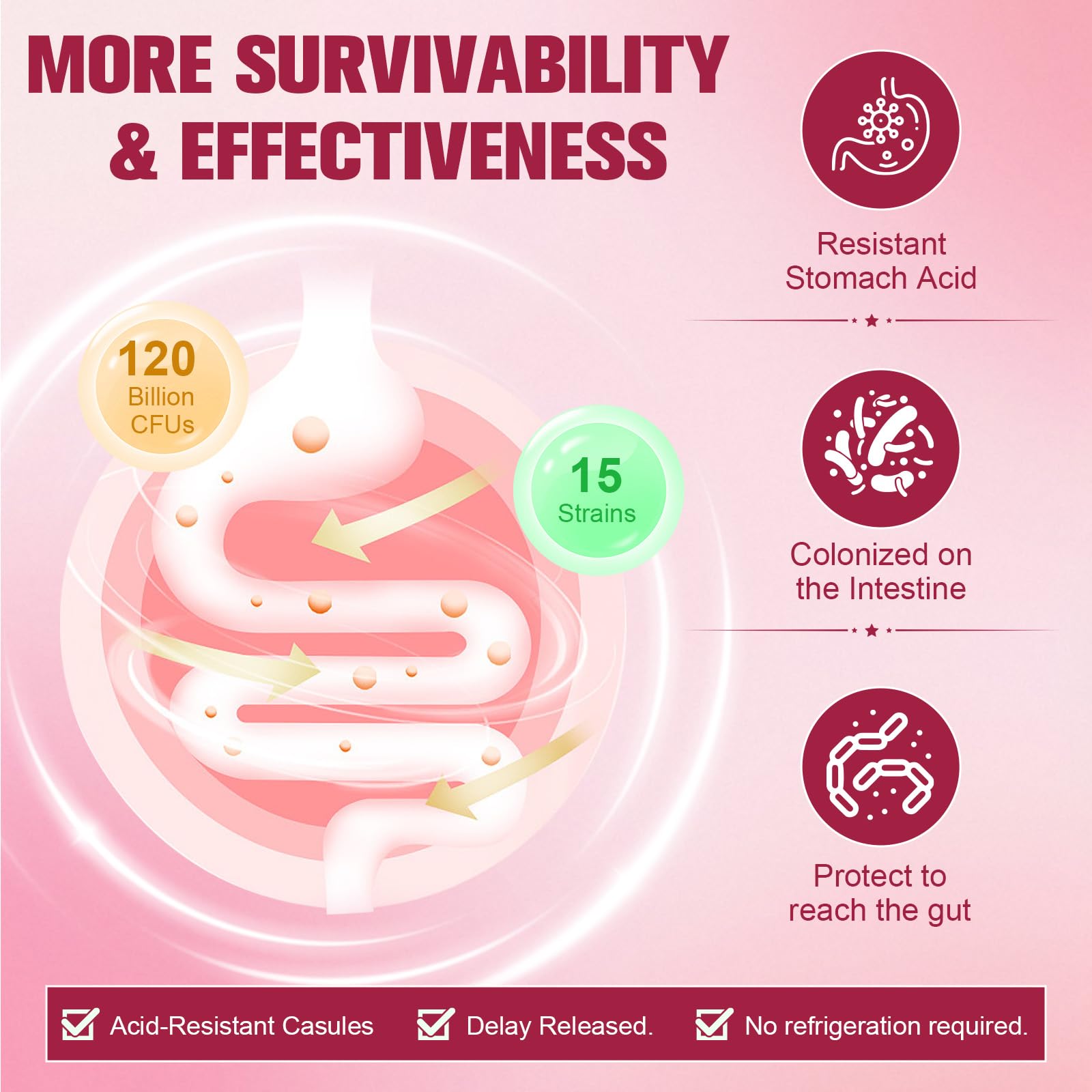 Totaria Probiotics for Women, 120 Billion Women Probiotic, with Akkermansia, Digestive Enzymes & Prebiotics, Cranberry, D-Mannose, for Gut, Vaginal, Urinary - dailyvitalstore