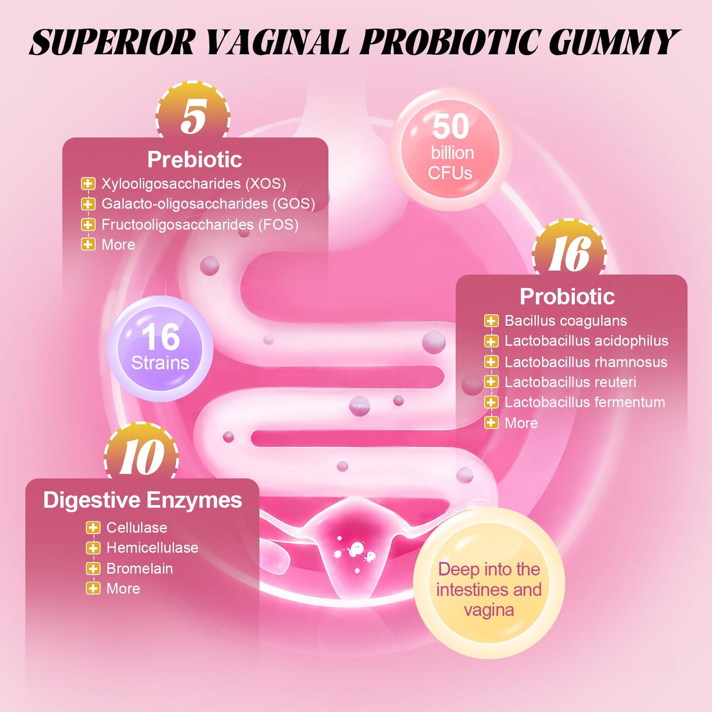 Totaria Sugar Free Probiotics for Women, Feminine Balance Gummies, 50 Billion CFU Vaginal Probiotic Prebiotic w/Slippery Elm, Cranberry, for Vaginal, Urinary Tract - dailyvitalstore