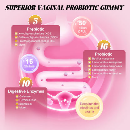 Totaria Sugar Free Probiotics for Women, Feminine Balance Gummies, 50 Billion CFU Vaginal Probiotic Prebiotic w/Slippery Elm, Cranberry, for Vaginal, Urinary Tract - dailyvitalstore