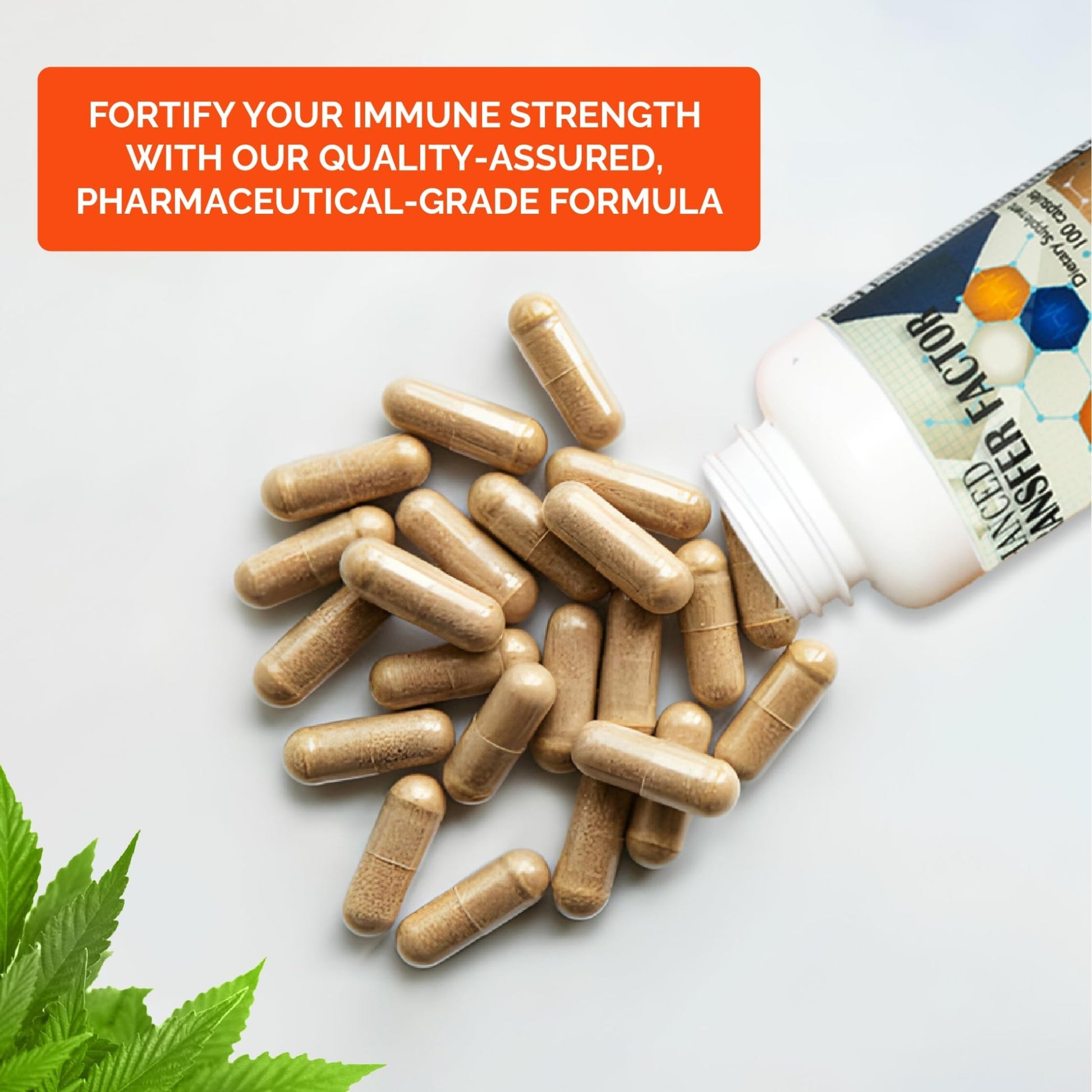 Transfer Factor Enhanced, 100 Natural Capsules, Immune Support - Transfer Factor Multi Immune from Cow Colostrum, Egg Yolk & Special Blend of Mushrooms - dailyvitalstore