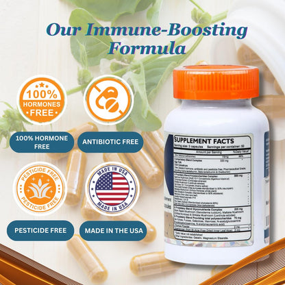 Transfer Factor Enhanced, 100 Natural Capsules, Immune Support - Transfer Factor Multi Immune from Cow Colostrum, Egg Yolk & Special Blend of Mushrooms - dailyvitalstore