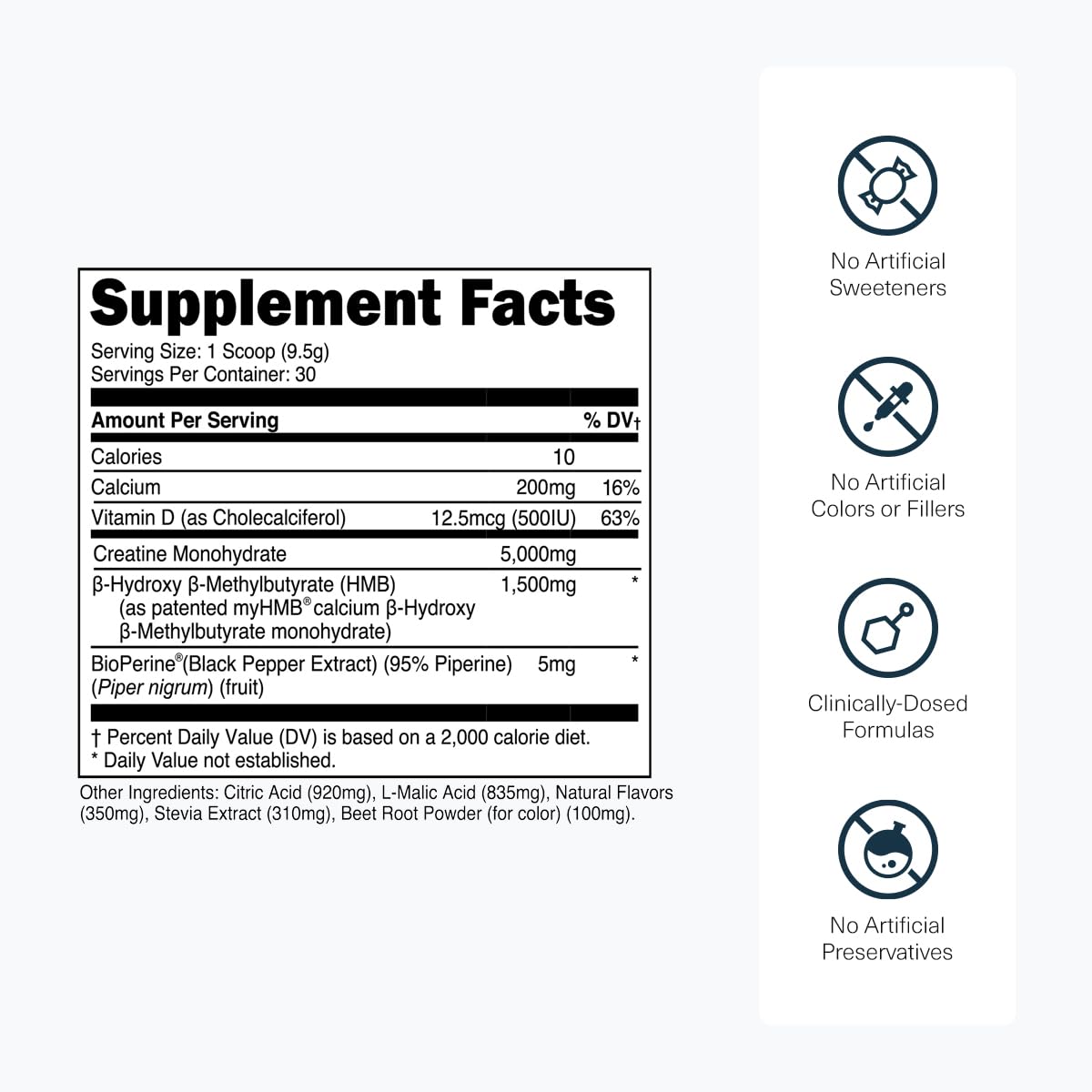 Transparent Labs Creatine HMB - Creatine Monohydrate Powder with HMB for Muscle Growth, Increased Strength, Enhanced Energy Output, and Improved Athletic Performance - dailyvitalstore