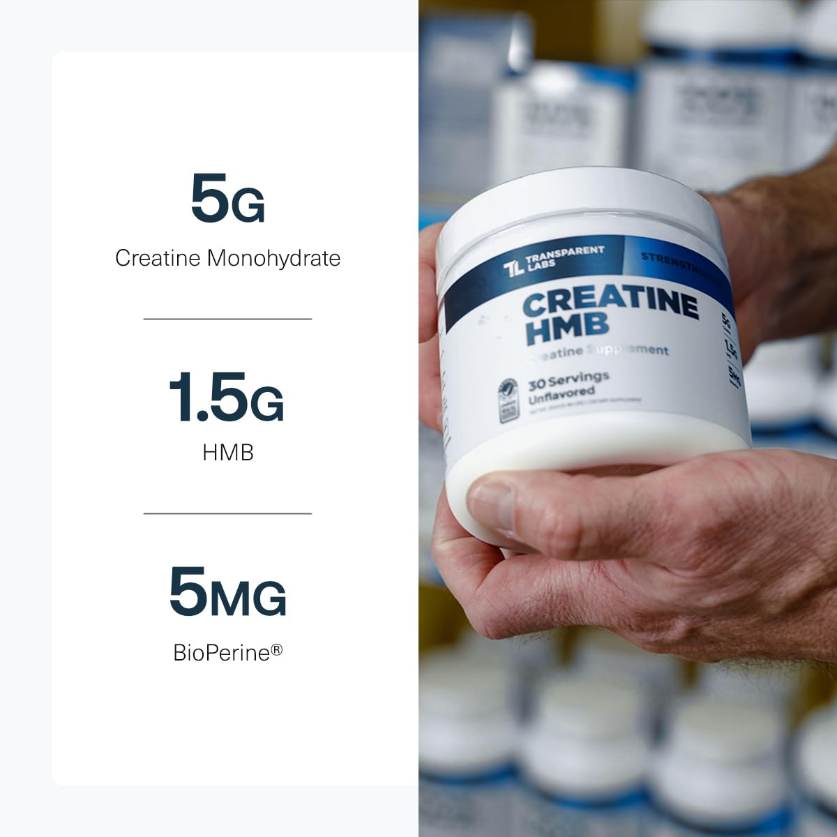 Transparent Labs Creatine HMB - Creatine Monohydrate Powder with HMB for Muscle Growth, Increased Strength, Enhanced Energy Output, and Improved Athletic Performance - 30 Servings, Unflavored - dailyvitalstore