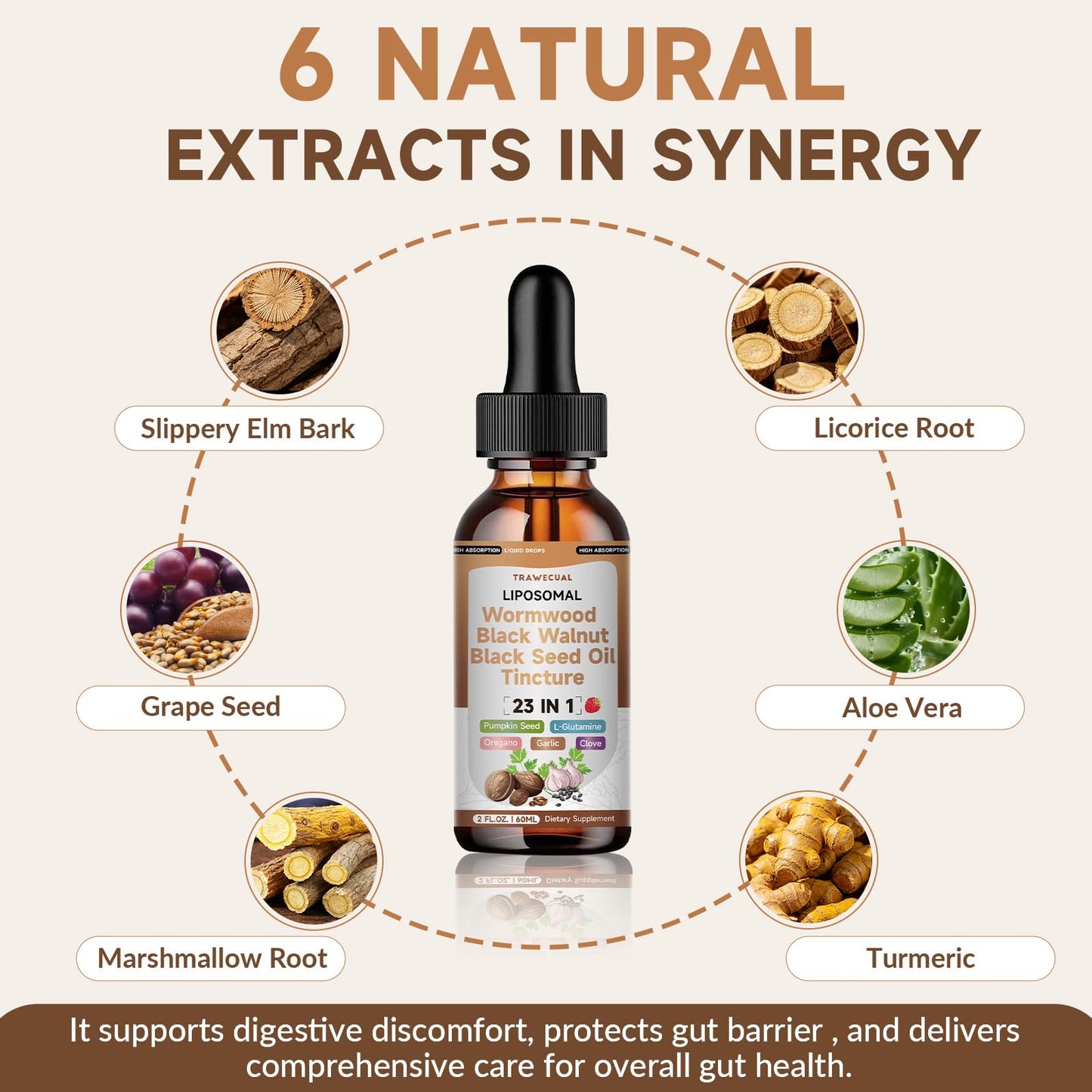 Trawecual Black Walnut Wormwood Black Seed Oil Cleanse Tincture, 23-in-1 Gentle Gut Detox & Digestive Health Support with Clove, Pumpkin Seed - dailyvitalstore
