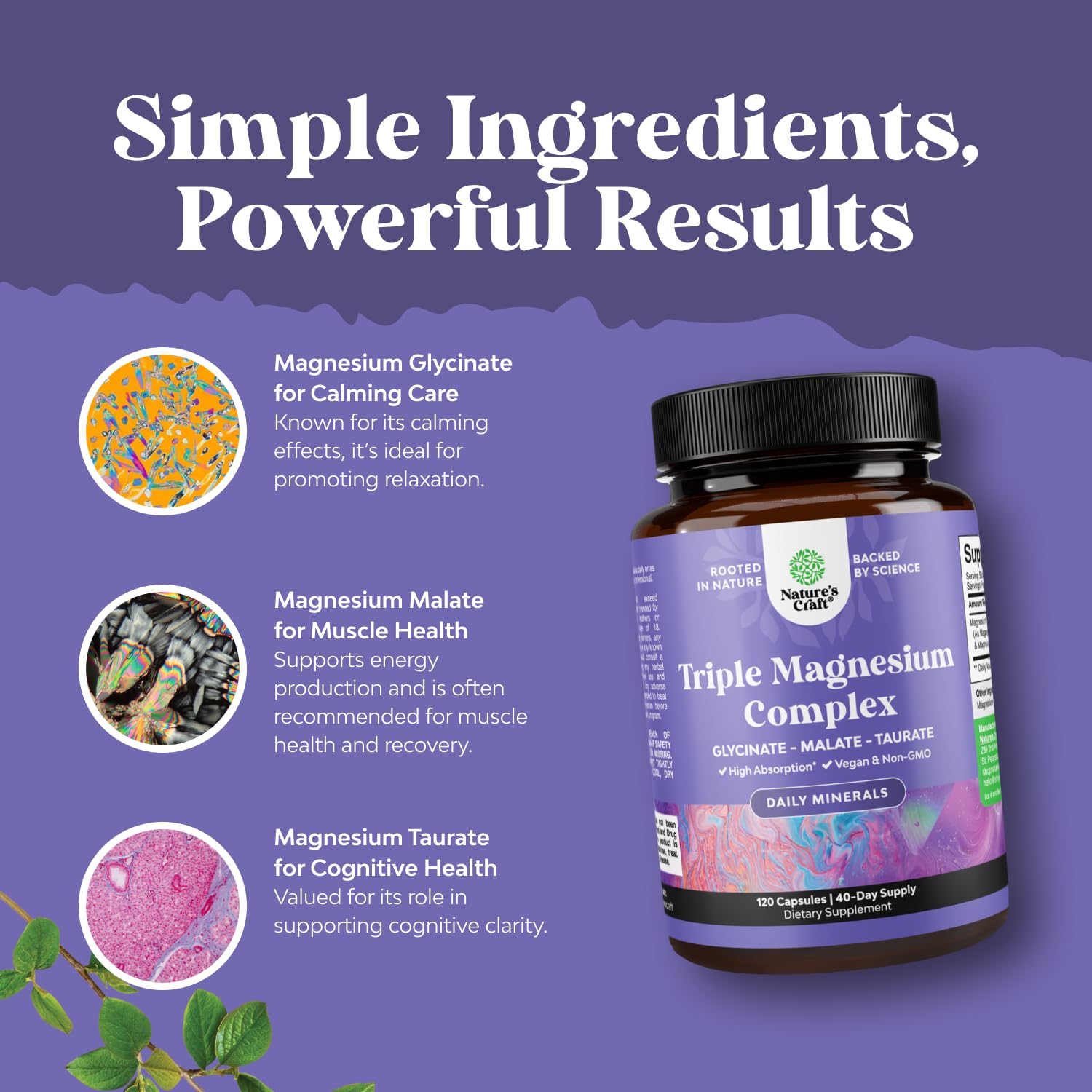Triple Magnesium Complex Supplement - High Absorption Magnesium Glycinate, Malate & Taurate Blend for Muscles, Energy Support & Heart Health - Triple Mg Complex 400 mg Capsules - 120 Count - dailyvitalstore