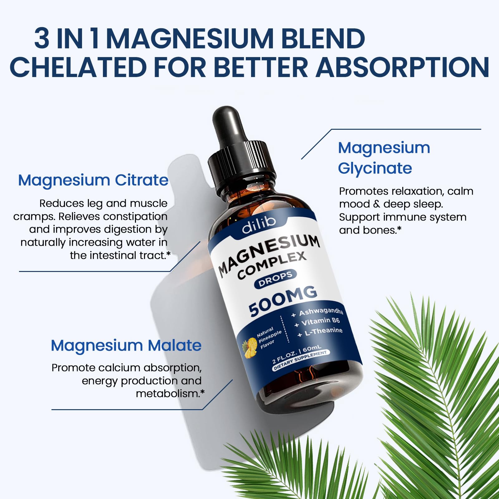 Triple Magnesium Complex Supplement-Magnesium Glycinate, Citrate, Malate Liquid Drops 500mg with Ashwagandha, L-Theanine, Vitamin B6 for Calm, Stress Relief, Sleep, Muscle Support-Pineapple Flavor - dailyvitalstore