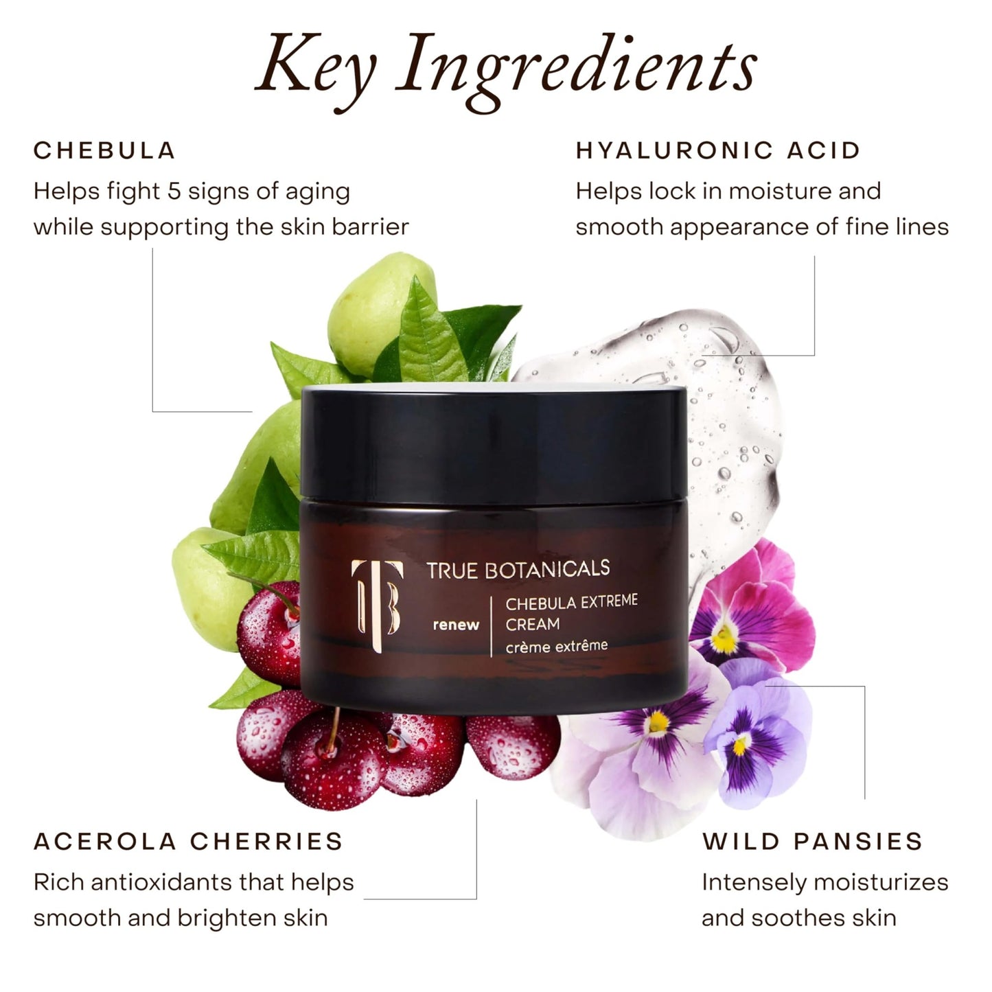 True Botanicals Chebula Extreme Cream | Anti-Aging Moisturizer w/Hyaluronic Acid | Treats Fine Lines & Wrinkles | Dry & Sensitive Skin | Dermatologist Tested, All Natural, Vegan | 1.7 oz | 50 ml - dailyvitalstore