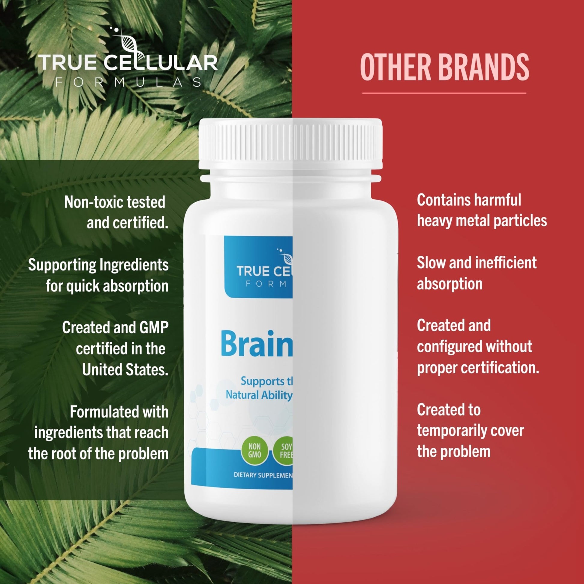 True Cellular Formulas BrainDTX - Supports Cognitive Function, Focus & Mental Clarity - Promotes Clear Thinking & Memory - with Alpha Lipoic Acid & Biotin - Antioxidant Support - 60 Capsules - dailyvitalstore