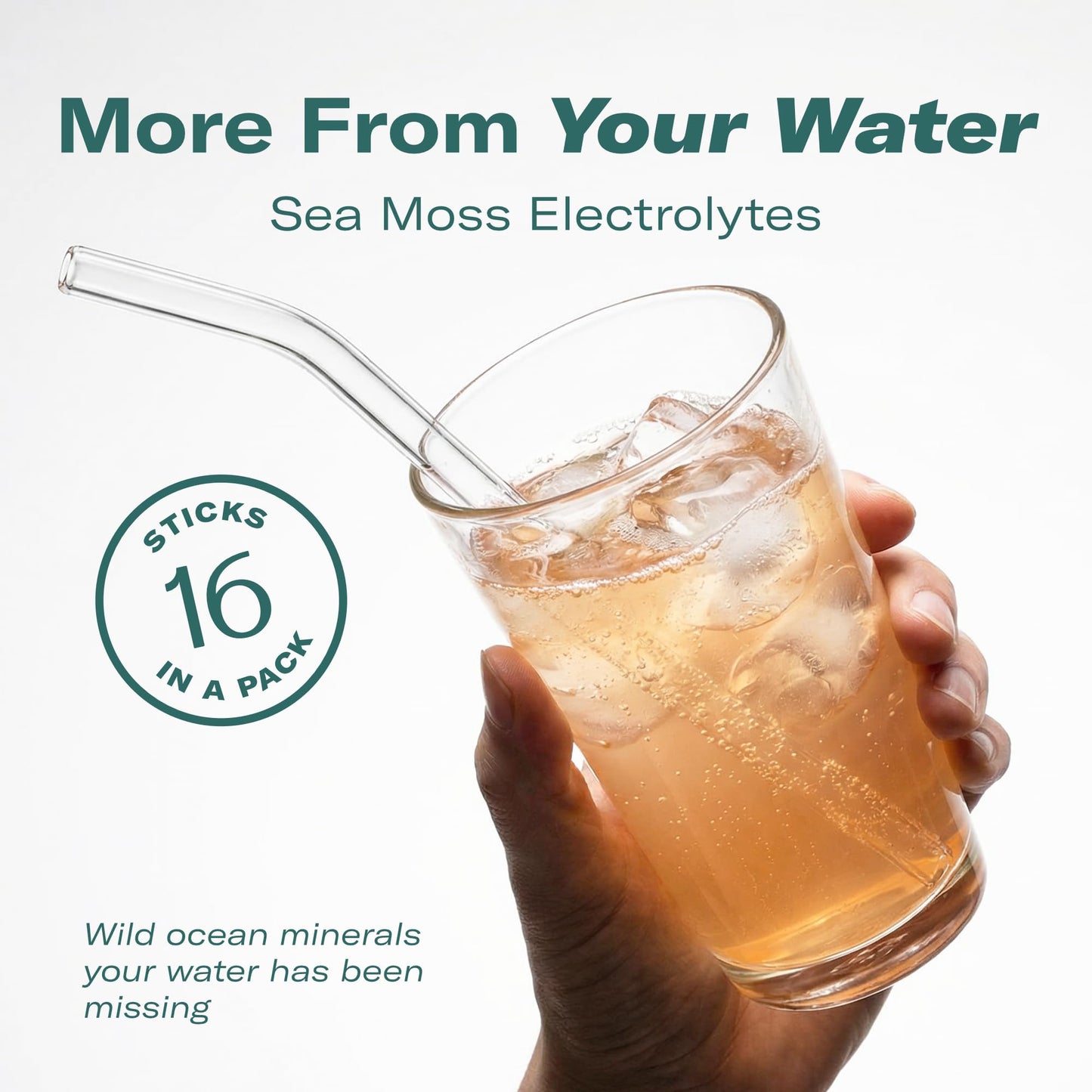 TrueSeaMoss Electrolytes Powder Packets – Made in USA – 16 Stickpacks – Hydration Powder with Sea Moss with Potassium – No Sugar Drinks – Variety Pack - dailyvitalstore