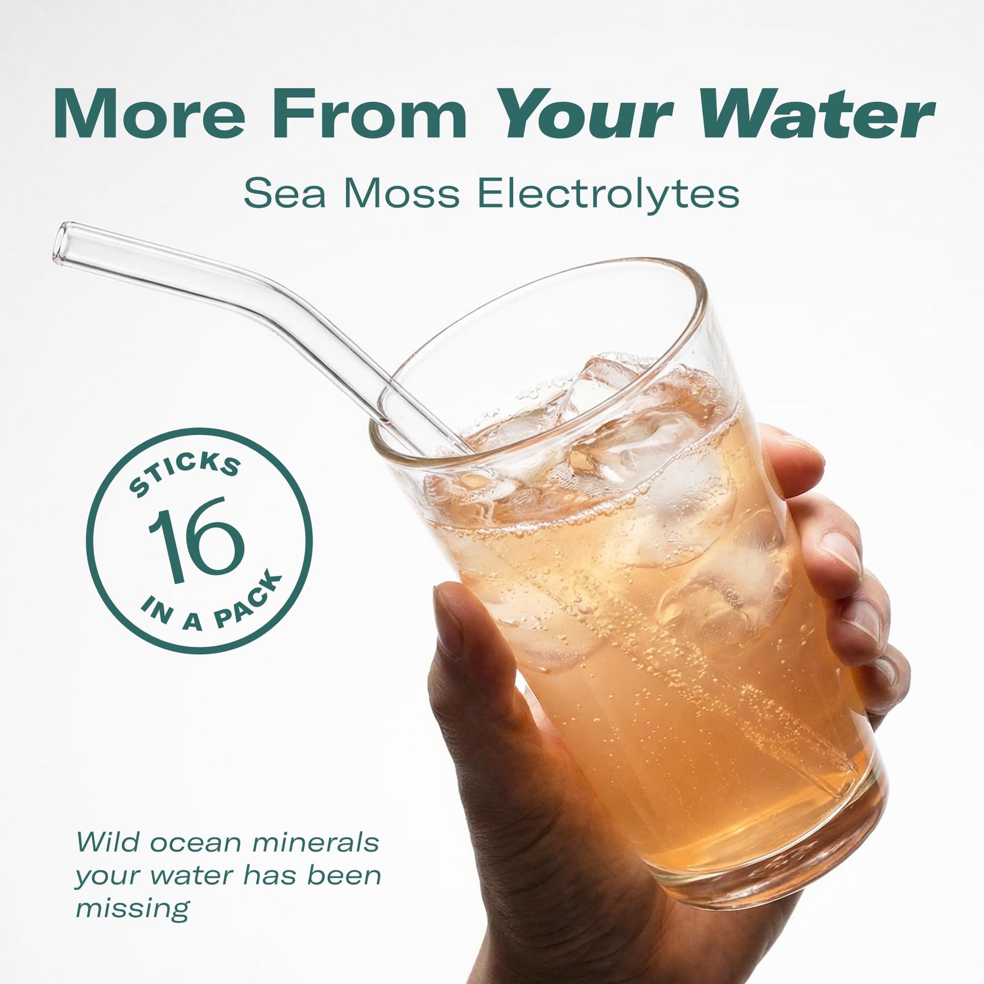 TrueSeaMoss Electrolytes Powder Packets – Made in USA – 16 Stickpacks – Hydration Powder with Sea Moss with Potassium – No Sugar Drinks – Variety Pack - dailyvitalstore