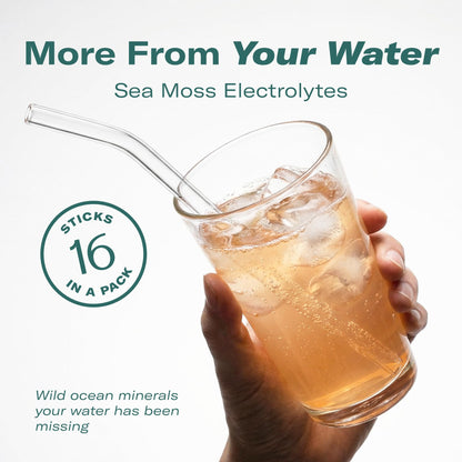 TrueSeaMoss Electrolytes Powder Packets – Made in USA – 16 Stickpacks – Hydration Powder with Sea Moss with Potassium – No Sugar Drinks – Variety Pack - dailyvitalstore