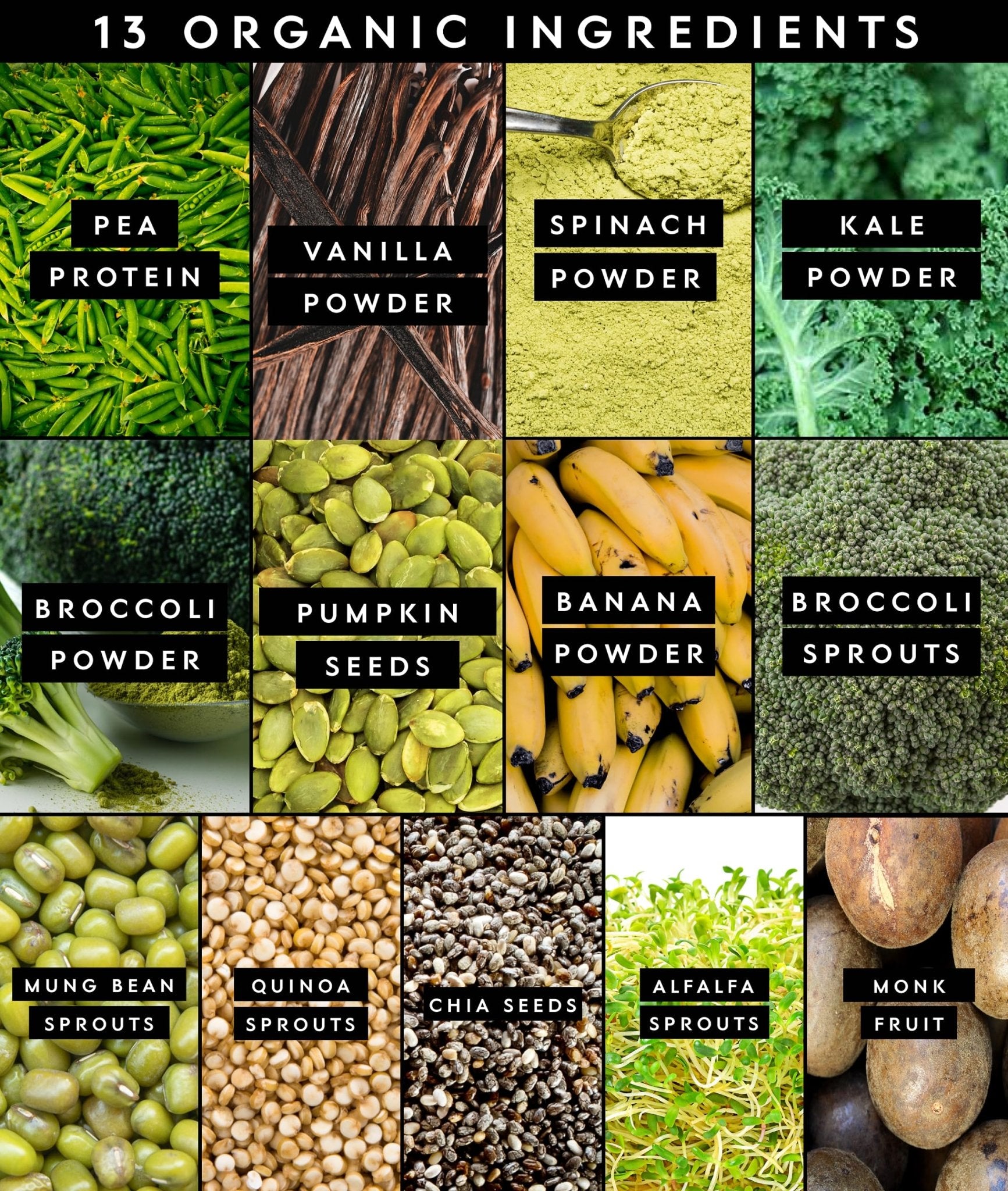 Truvani Protein + Greens Supplement | Spinach, Kale & Broccoli | 10g Organic Plant Based Protein | 20 Servings | USDA Organic | Gluten & Dairy Free - dailyvitalstore