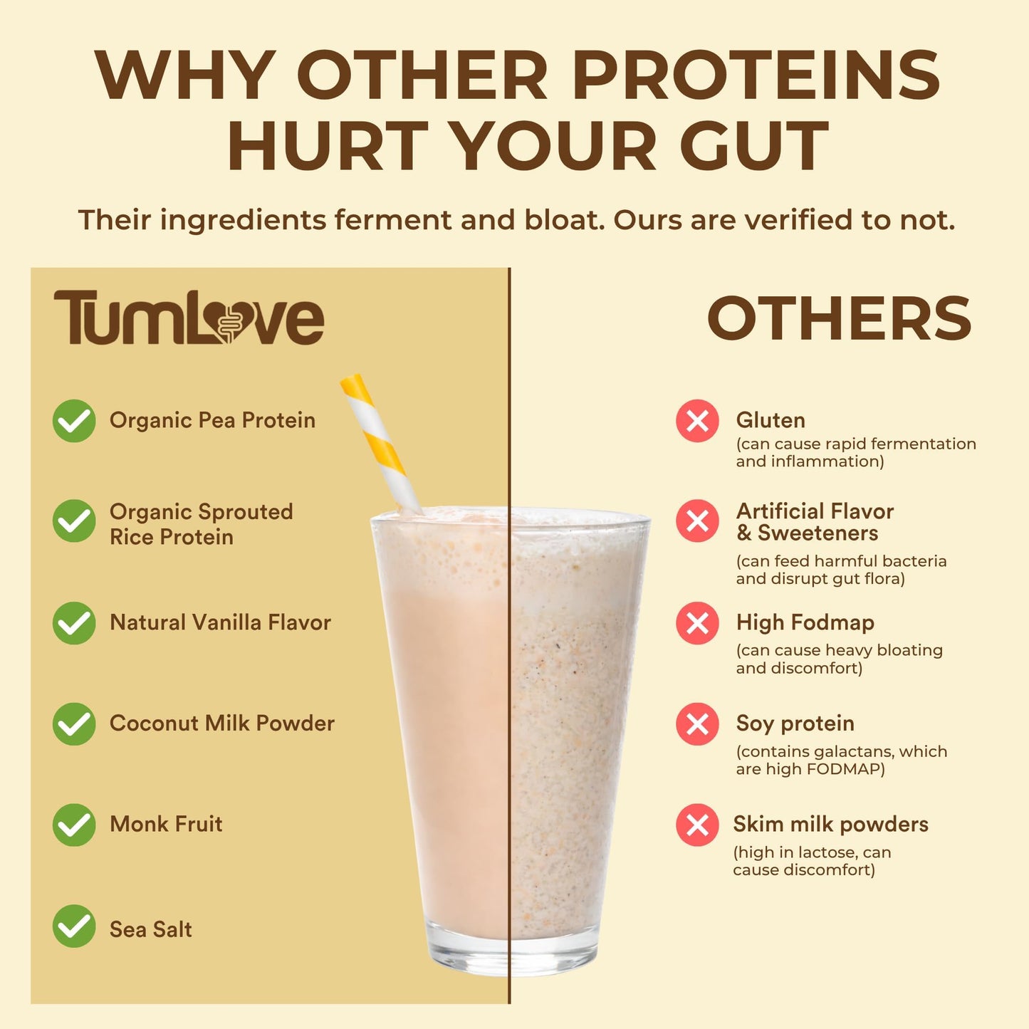TumLove Vegan Protein Powder - Low FODMAP Certified, Gluten-Free, Dairy-Free, Soy-Free, 100% Gut-Friendly & Non-Bloating, Vanilla (25 Servings) - dailyvitalstore