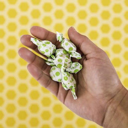 tummy drops No Sugar Crushed Peppermint Flavor, Gluten Free & Vegan, 33 Individually Wrapped Pure Peppermint Oil Lozenges Made with Organic Monkfruit - dailyvitalstore